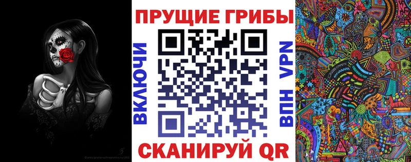 МЕГА как войти  Бабушкин  Псилоцибиновые грибы Magic Shrooms 